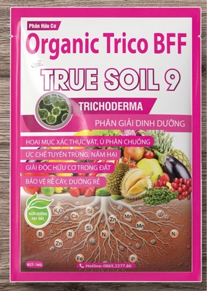PHÚC ĐẠT- TRUE SOIL 9